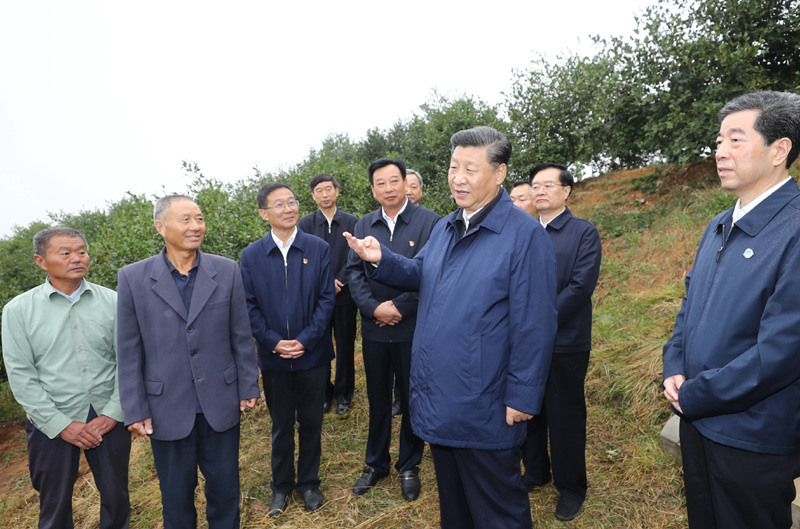 　　9月16日至18日，中共中央總書(shū)記、國(guó)家主席、中央軍委主席習(xí)近平在河南考察。這是17日上午，習(xí)近平來(lái)到信陽(yáng)市光山縣槐店鄉(xiāng)司馬光油茶園，同正在勞作的村民和管理人員交流。 新華社記者 鞠鵬 攝