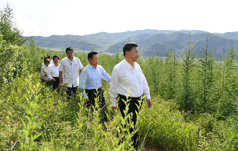 7月15日至16日，中共中央總書記、國家主席、中央軍委主席習(xí)近平在內(nèi)蒙古考察并指導(dǎo)開展“不忘初心、牢記使命”主題教育。這是15日下午，習(xí)近平在赤峰市喀喇沁旗馬鞍山林場林區(qū)，沿著崎嶇的護林小道察看林木長勢。